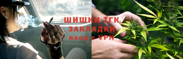 крисы Верея
