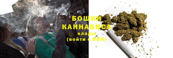 крисы Верея