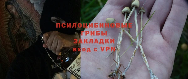 стаф Верхний Тагил
