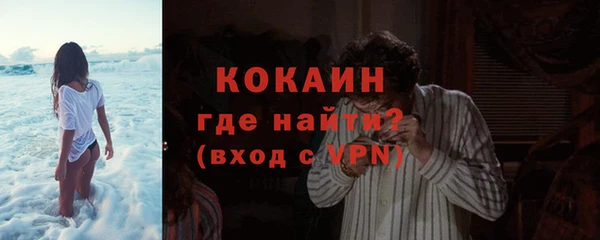 крисы Верея
